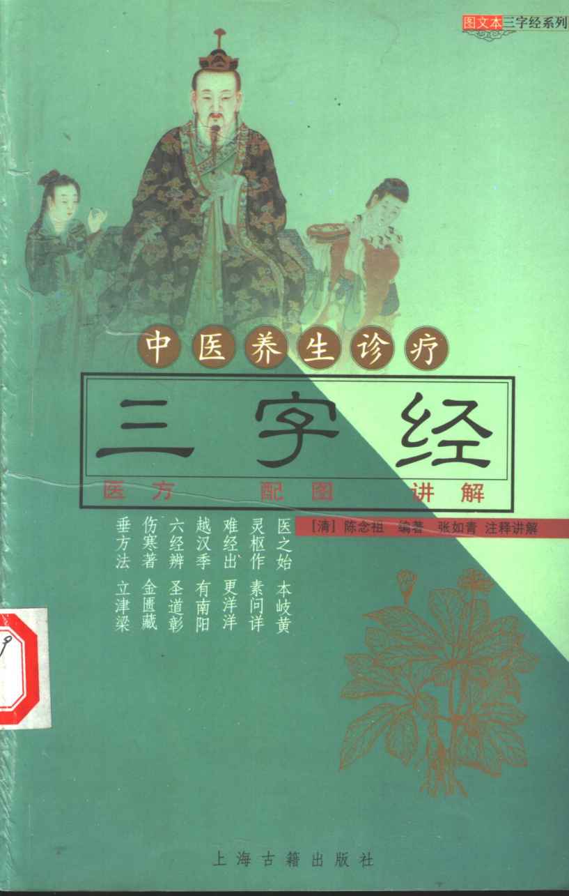 中医养生诊疗三字经  医方  配图  讲解